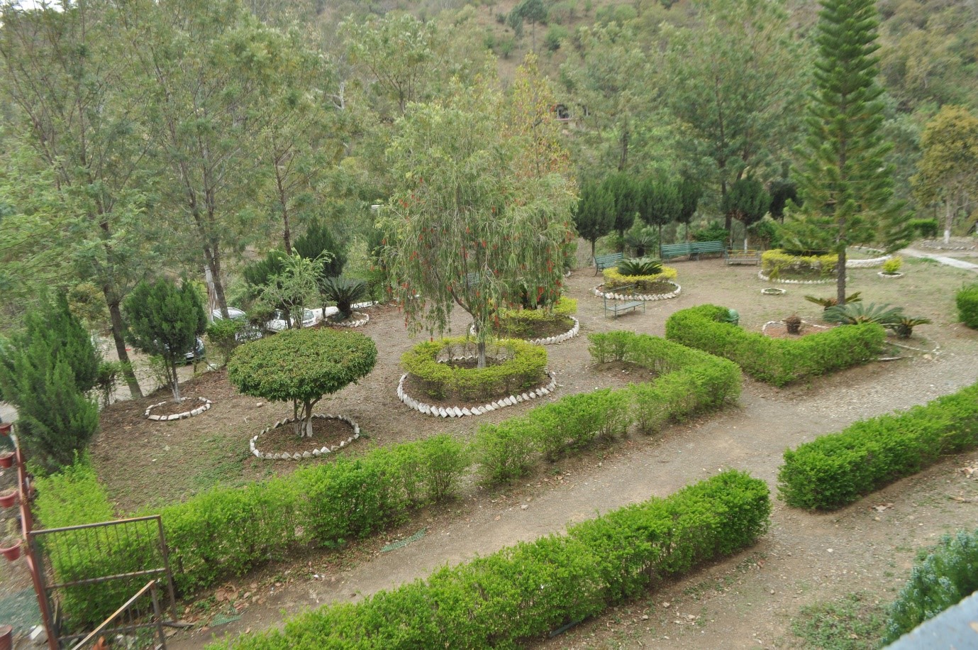 garden-lawn